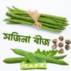সারা বছর চাষযোগ্য সজিনা বীজ