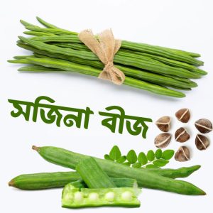 সারা বছর চাষযোগ্য সজিনা বীজ