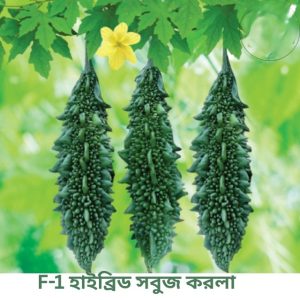 F1- হাইব্রিড সবুজ করলার বীজ