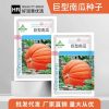 মিষ্টিকুমড়ার বীজ (Honey Pumpkin Seeds) 🎃 উন্নত জাতের বীজ,