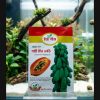 🌿 গ্রিন লেডি পেঁপে