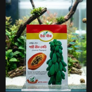 🌿 গ্রিন লেডি পেঁপে